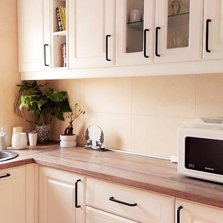 Cosy Boutique 61 Sqm Apartment - Private Parking - Ten Blocks Residence Βουκουρέστι Εξωτερικό φωτογραφία